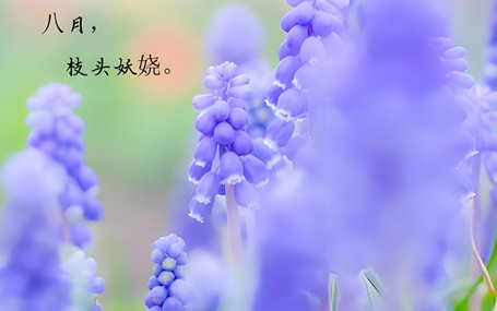 5G急救裝備/智能急救系統天榮醫療-立秋過后持續高溫，注意防暑！